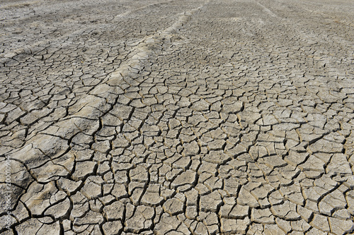 The parched soil