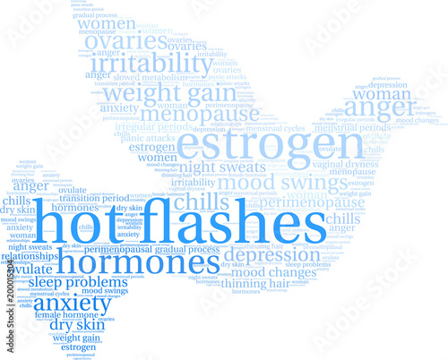 Hot Flashes word cloud on a white background.  photo