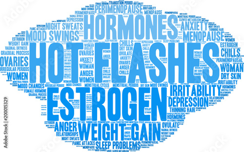 Hot Flashes word cloud on a white background. 