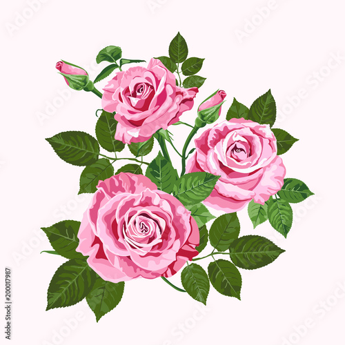 Pink roses bouquet isolated on the white