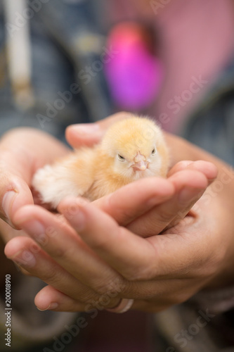 Precious One