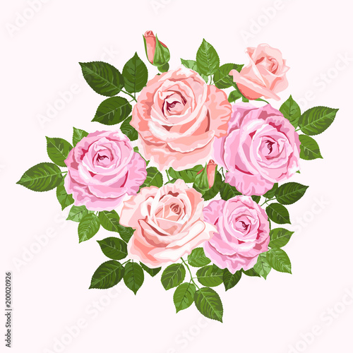 Pink and beige vector roses wreath isolated on white