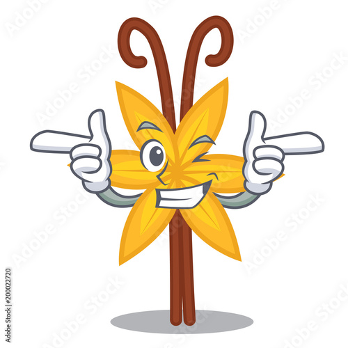 Wink vanilla character cartoon style