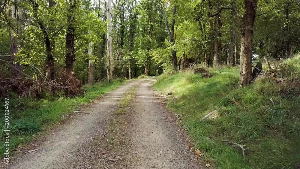 New Zealand Countryside Dirt Road New Zealand Countryside Dirt Road