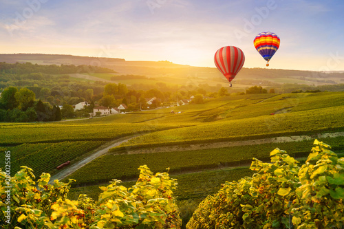 Canvas Print Colorful hot air balloons flying over champagne Vineyards at montagne de Reims,