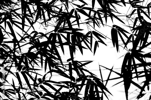 abstract silhouette background of bamboo leaf