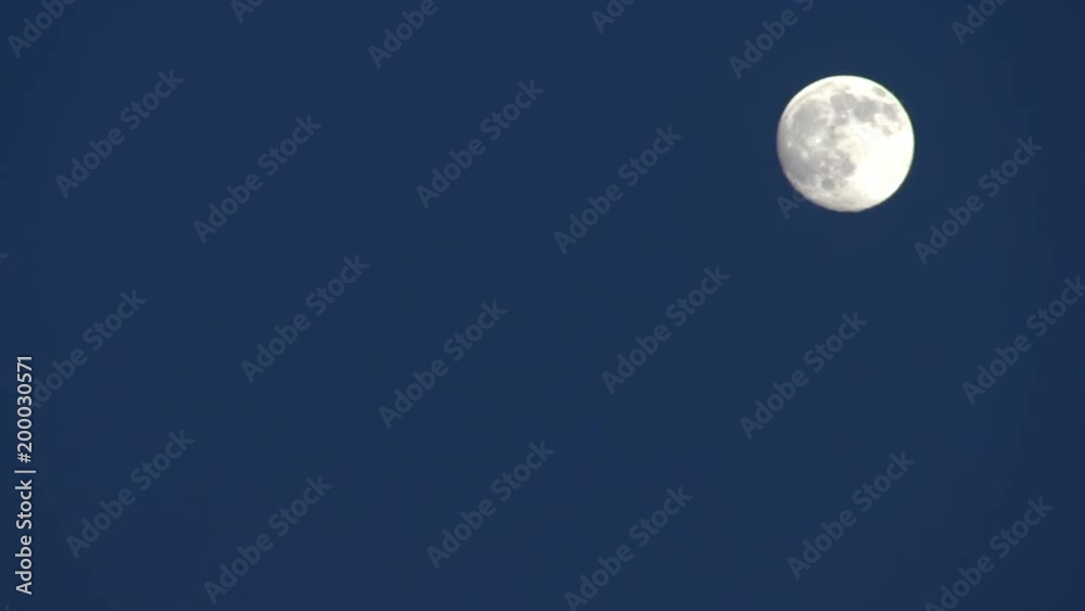 the moon with birds flying by the moon with birds flying by
