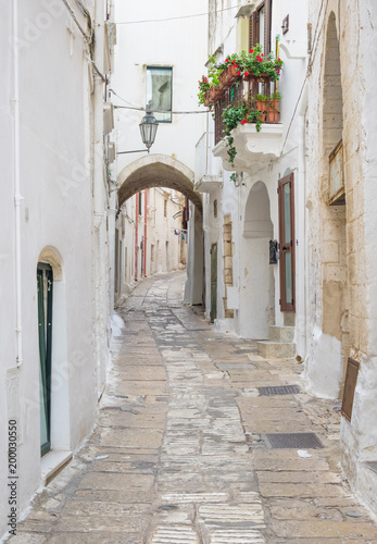 Ostuni  Puglia  Italy  - The gorgeous white city in province of Brindisi  Apulia region  Southern Italy  with the old historic center on the hill and beside the sea