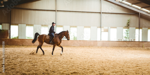 Female rider riding horse in stable