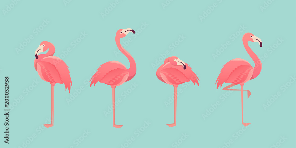 Naklejka premium Zestaw flamingów na białym tle. ilustracja.