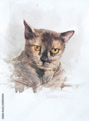 Obraz na płótnie Słodki kociak. Akwarela portret kota. Rysunek kota z żółtymi oczami wykonany w akwareli. Dobry do nadruku T-shirt. Ręcznie malowane akwarela kot ilustracja. Sztuka tło, baner dla sklepu zoologicznego.