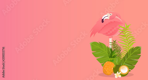Flamingo bird illustration design on white background