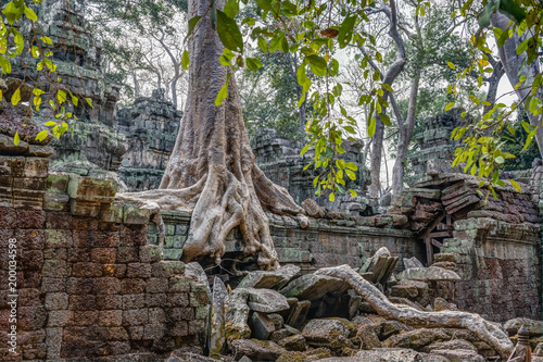 Fototapeta Naklejka Na Ścianę i Meble -  Cambodia Angkor Complex 360
