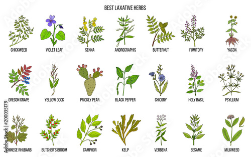 Best laxative herbs