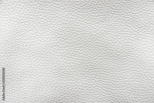White leather background