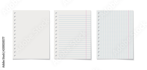 Paper sheet vector realistic illustration