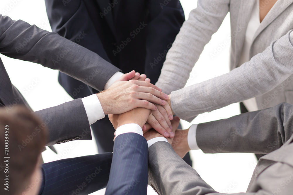 single professional business team single professional business team