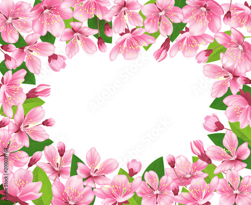 Cherry blossom background. Pink spring flowers frame. Cartoon style vector illustration