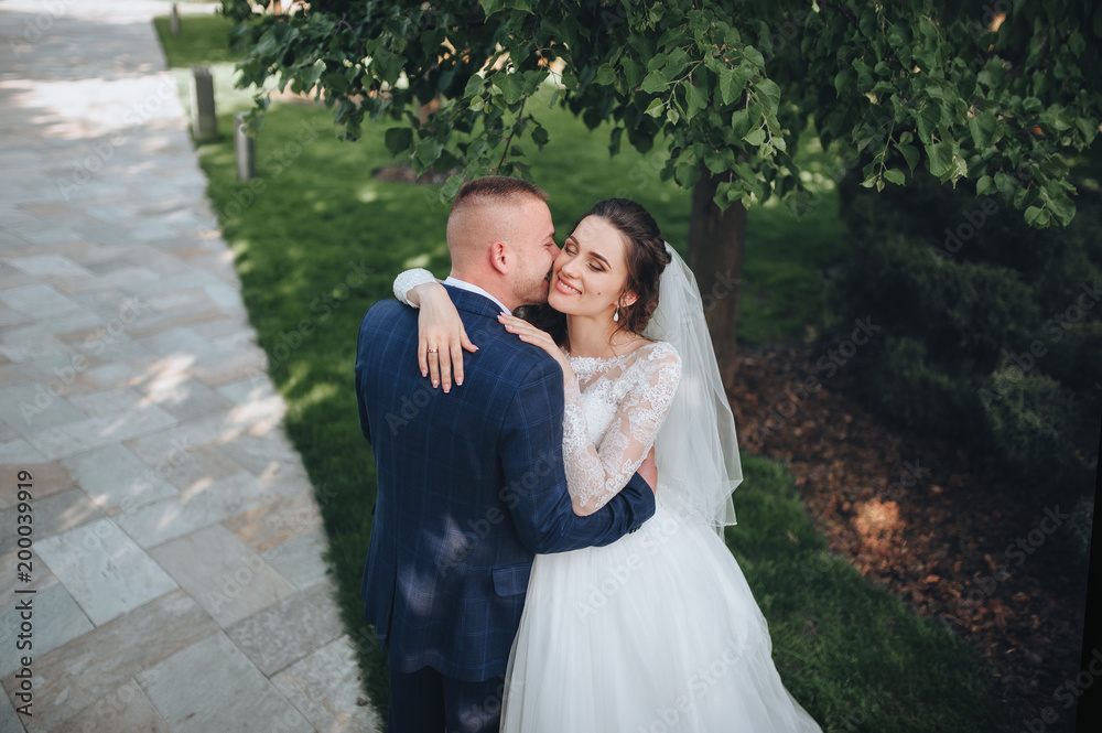 The young groom gently kisses the bride in a lace dress. Portrait of a newlywed couple in a green park. Beautiful wedding of the newlyweds. The young groom gently kisses the bride in a lace dress. Portrait of a newlywed couple in a green park. Beautiful wedding of the newlyweds.
