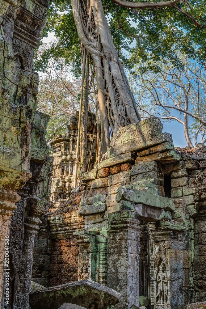 Cambodia Angkor Complex 360
Cambodia Angkor Complex 360