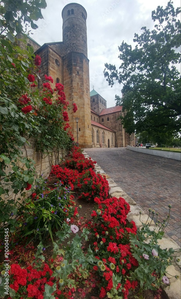 Obraz premium Rosen vor St. Michaelis