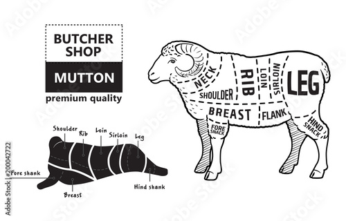 Lamb or mutton cuts diagram. Butcher shop. Vector illustration