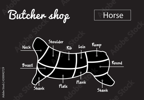 Scheme of cutting horse meat with cutting lines. Design for butcher shop, banner. Diagram on white background. Vector illustration.
