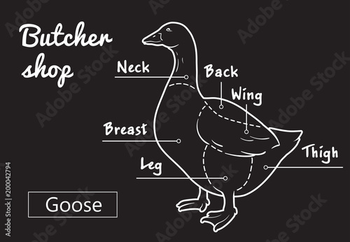 Cut of meat set. Poster Butcher diagram, scheme - Goose. Vintage typographic hand-drawn goose silhouette for butcher shop, restaurant menu, graphic design. Meat, poultry theme. Vector Illustration