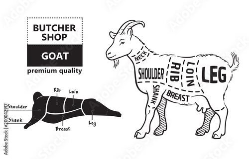 Vector illustration goat cuts diagram or chart. Goat black silhouette. Butcher chart.
