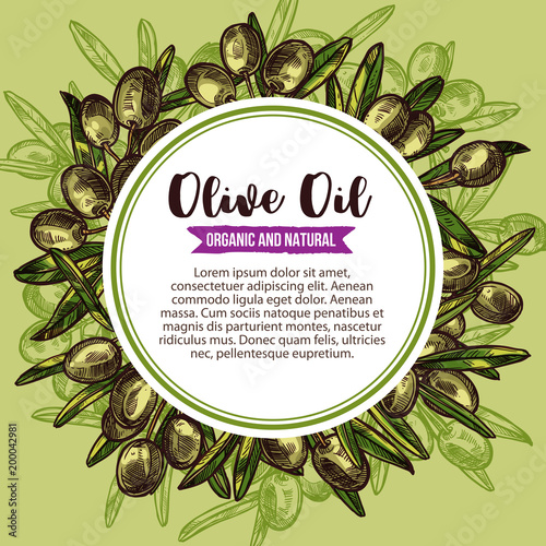 Olive oil label with green branch wreath sketch