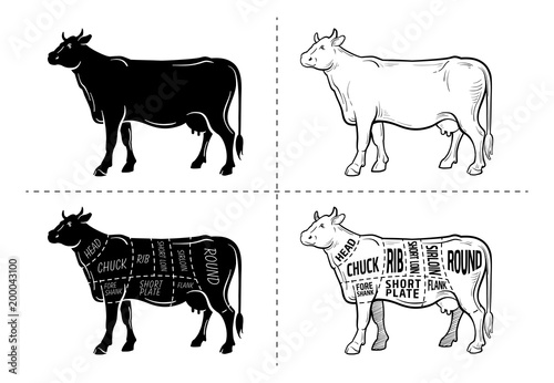 Cut of beef set. Poster Butcher diagram - Cow. Vintage typographic hand-drawn. Vector illustration