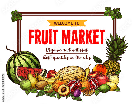 Fruit market banner with frame of farm product