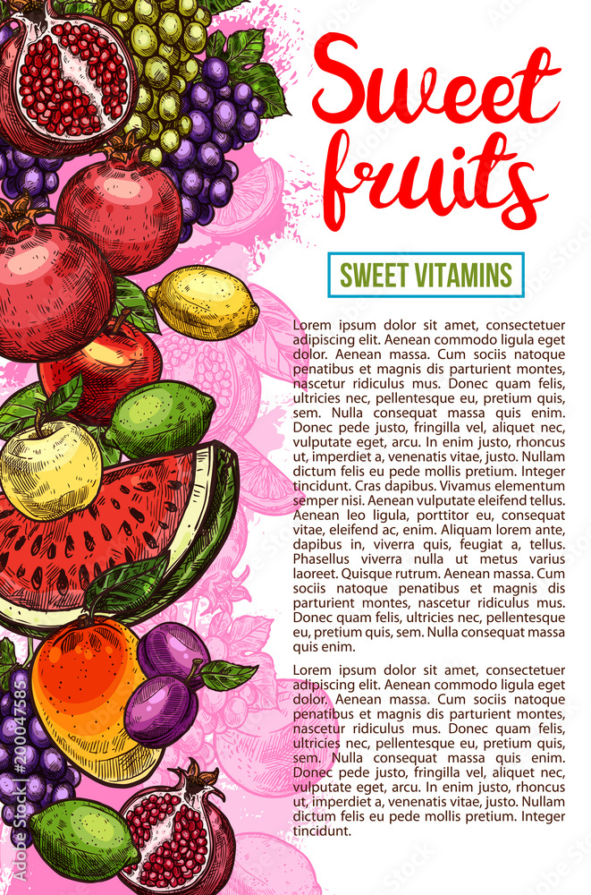 Obraz premium Fruit and berry banner with natural farm product