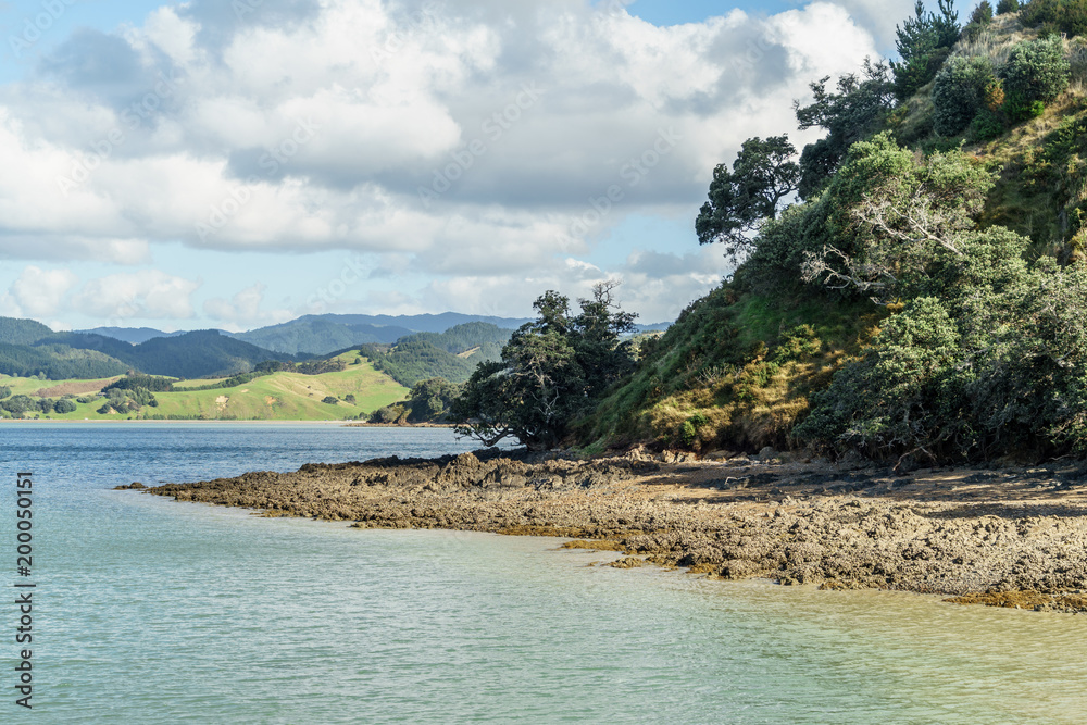 scenic shot of beautiful green seashore with trees, Waitawa Regional Park, New Zealand scenic shot of beautiful green seashore with trees, Waitawa Regional Park, New Zealand