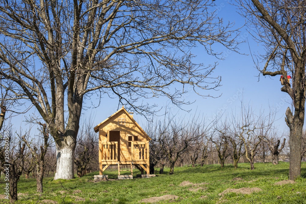 Fototapeta premium Wooden house for kids in the countryside