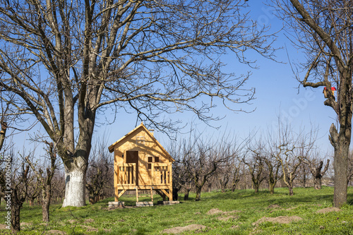 Wooden house for kids in the countryside © Dragana