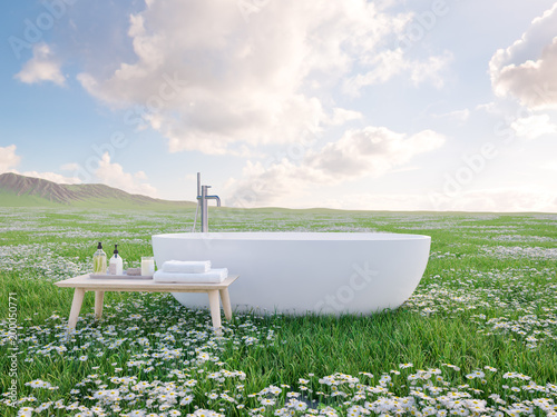 bathtube standing on beautiful meadow. 3d rendering photo