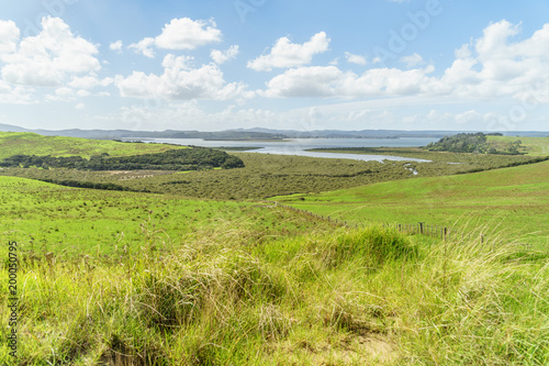 scenic sho of beautiful green field with ocean on background on sunny day, Spirits Bay, New Zealand