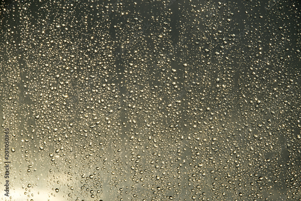 Obraz premium Krople deszczu