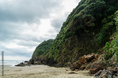 dramatic shot of green cliff on ocean coastline on cloudy day, Piha beach, New Zealand