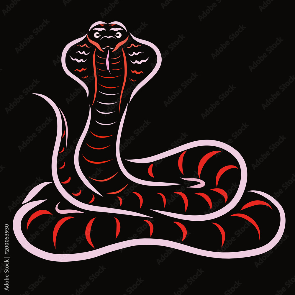 Fototapeta premium Cobra, pattern on a black background
