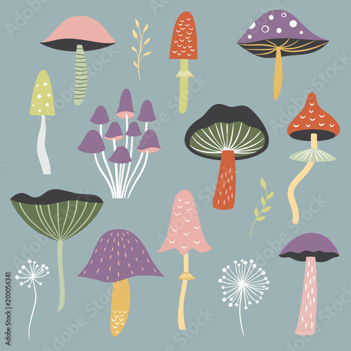 Mushrooms illustrations