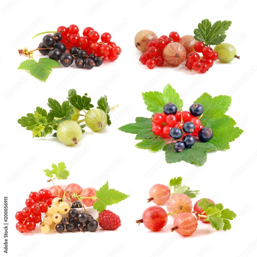 Gooseberry and currant, Berries isolated on white. Gooseberry and currant, Berries isolated on white.