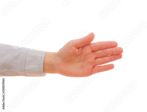 Child's palm on a white background