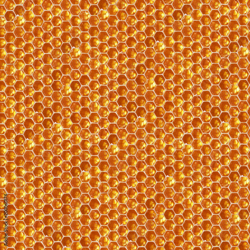 natural honey comb hexagonal texture  macro photo