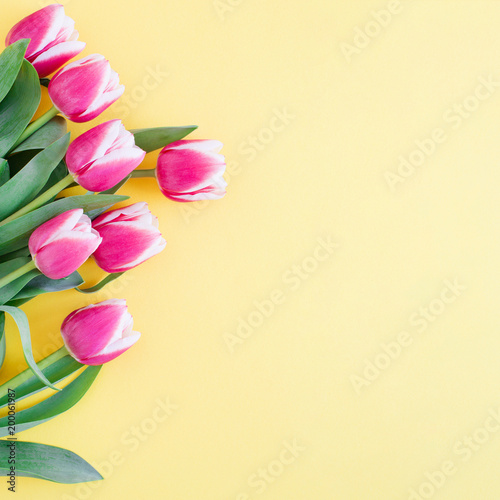 Spring card with bouquet of pink tulips on yellow background. Top view, copy ...