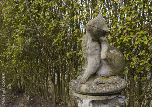 Sculpture of a cat in the garden with a green hedge behind