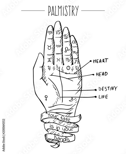 Hand drawn vector illustration of hand and palmistry scheme. Black drawing isolated on white background.