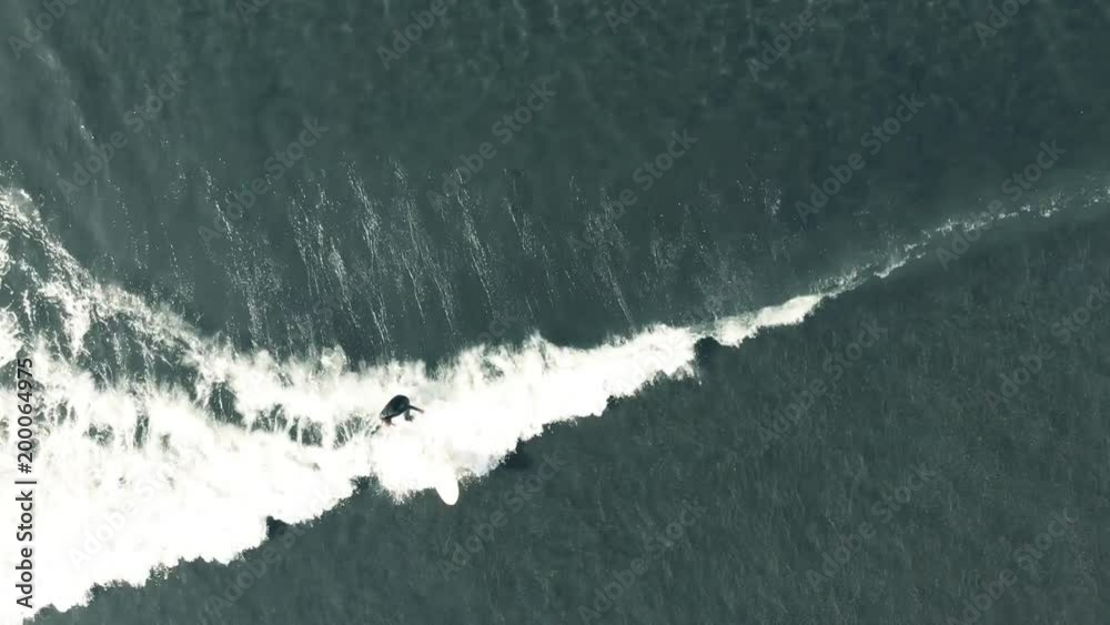 サーフィン　海　サーファー