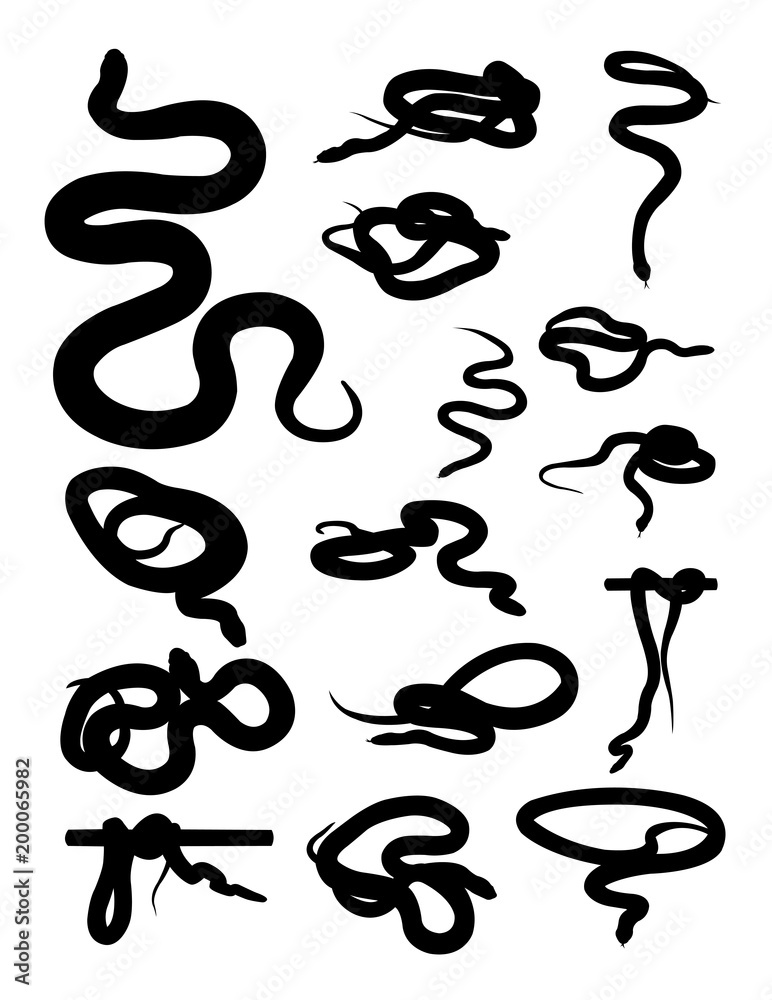Obraz premium Snake animal detail silhouette. Vector, illustration. Good use for symbol, logo, web icon, mascot, sign, or any design you want.